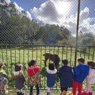 Niños disfrutando del entorno privilegiado del colegio andersen, en este caso están viendo caballos de las fincas próximas al centro