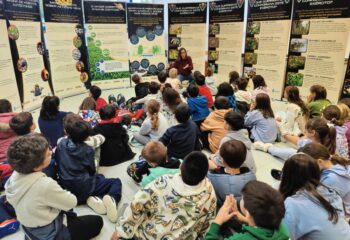 Imagen de WhatsApp 2024-10-21 a las 11.36.35_3c3a3aef Imagen de WhatsApp 2024-10-21 a las 11.36.35_3c3a3aef