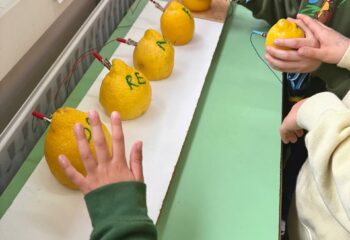 IMG-20250215-WA0032(1) IMG-20250215-WA0032(1)