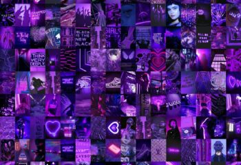 imaxen 25N imaxen 25N