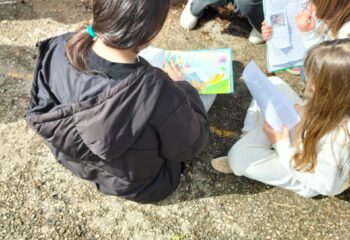 oplus_1056 oplus_1056