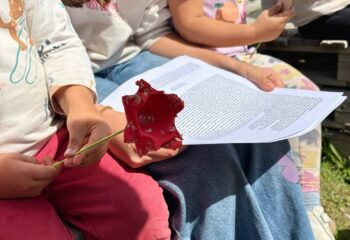 Imaxen apadriñamento